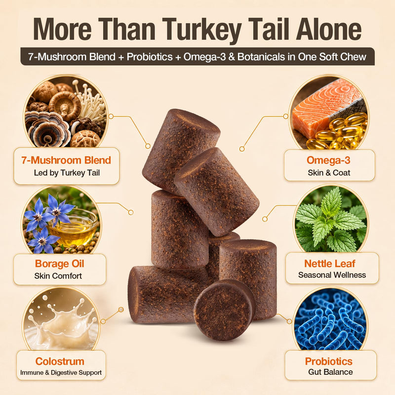 Turkey Tail Mushroom for Dogs, TailSphere 12-in-1 Mushroom Chews for Dog Immune, Gut, Skin & Coat Support, 7-Mushroom Blend with Reishi & Lion’s Mane, Probiotics & Omega-3, Chicken Flavor, 90 Count