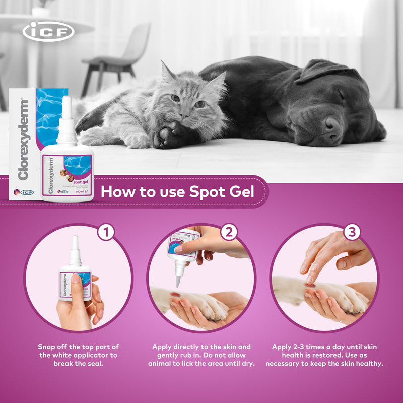 ICF | Clorexyderm Spot Gel | Advanced Cat & Dog Skin Care Gel for Itchy Skin & Wound Relief | Soothes and Moisturizes Irritated Skin | Ideal for Paws, Skin Folds, and Localized Issues 100 ml (Pack of 1)