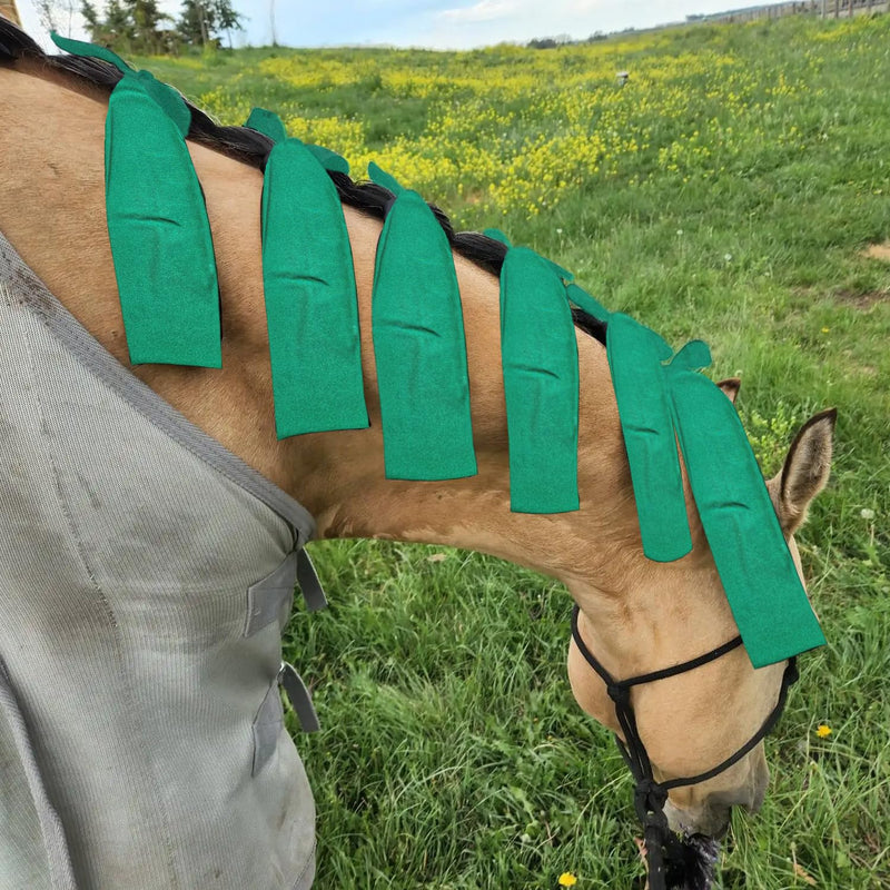 Ranch Hand Horse Mane Bags - Protect Horse's Mane from Wind, Sun, Mud, Preventing Tangles, Rubbing Out, and Breakage | Made with Lycra and Nylon (Green) Green