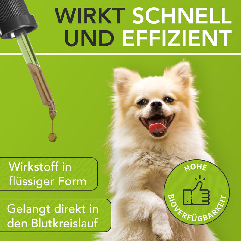 ENEMEL® joint complex for dogs [30ml] | Innovation through drops | Joint complex dog | Made in Germany 30ml - BeesActive Australia