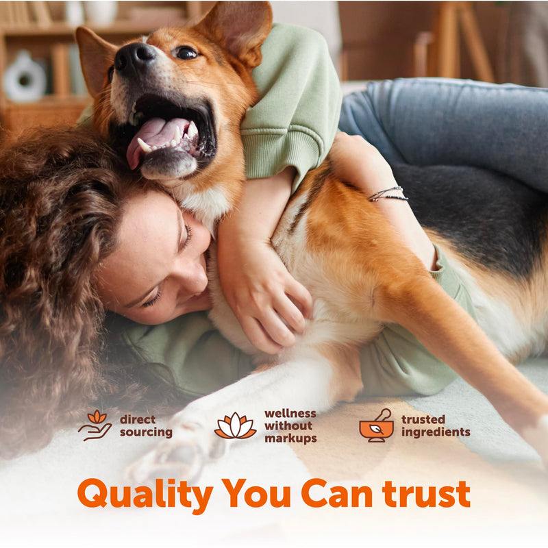 Micro Ingredients 25-in-1 Dog Multivitamin, 240 Soft Chews | Daily Essential Dog Vitamins and Supplements for Immune, Skin, Coat, Joints & Digestion Health* | Non-GMO, Chicken-Flavored