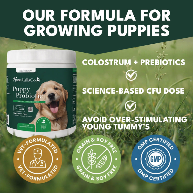 Puppy Probiotic Powder for Digestive Health & Diarrhea Relief, Gut Health Supplement with Prebiotics & Colostrum, Relieves Itchy Skin & Supports Immune System, Chicken Flavor, 14oz | NovaTails Co.