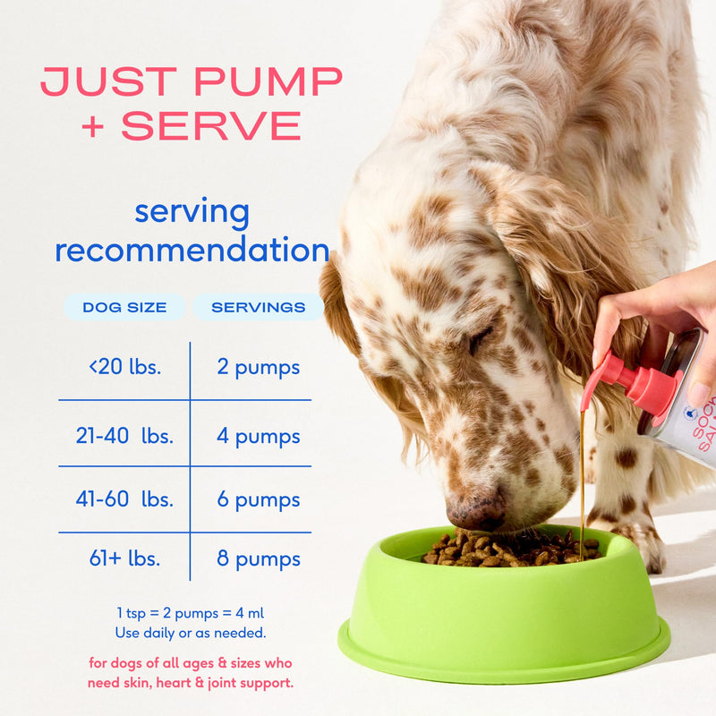 Native Pet Beef Bone Broth Powder for Dogs (48 Servings) & Salmon Oil for Dogs & Cats (8 Oz.) – Pure Omega-3 Fish Oil and Beef Bone Broth Protein Rich Pet Food Supplement