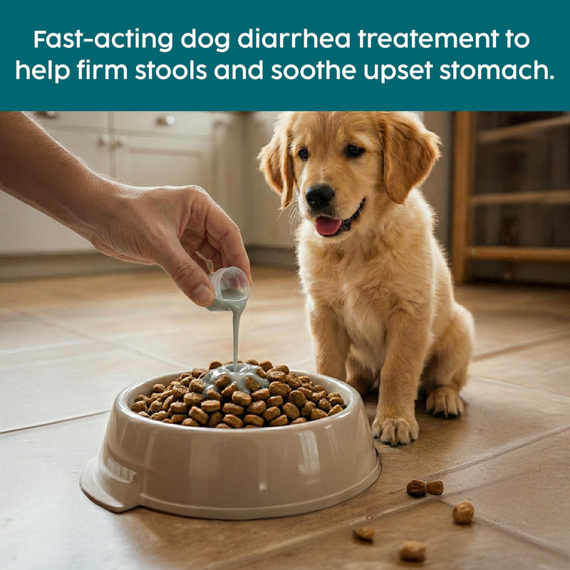 Dog Diarrhea Treatment, Fast Acting Diarrhea Relief for Dogs, 250ml, Dog Tummy Settler for Upset Stomach, Soothe Digestion & Firms Loose Stools, Fully Natural Tummy Liquid Only