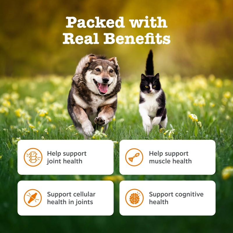 Zesty Paws Hip & Joint Salmon Oil For Cats & Dogs | Supports Mobility, Joint, Muscle, Cognitive & Cellular Health | Contains Salmon, Krill, Flaxseed Oils, Vitamin E | Daily Use | 250ml