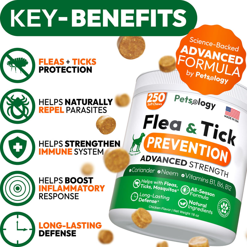 Flea and Tick Prevention for Dogs Pills - 250 Soft Chews - Natural Dog Flea & Tick Control - Oral Defense Treatment for Dogs Supplement - Vet Formulated Chews - All Breeds & Ages - Made in USA 250 Chews