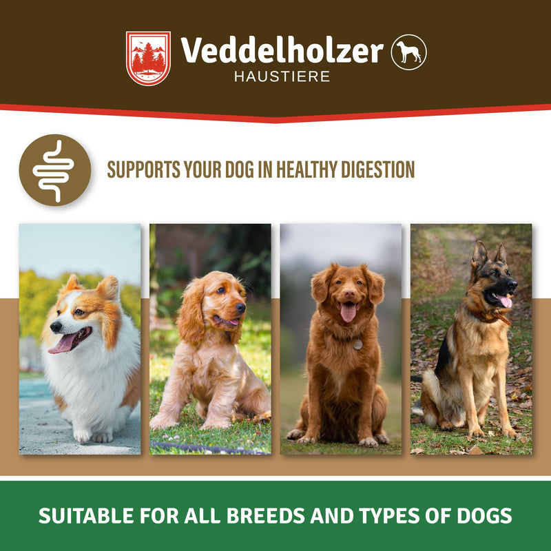 Probiotics for Dog - Probiotic DogTreats to support the intestinal flora as a dietary supplement - with natural ingredients, perfect dog accessory as a digestive snack or treat for dogs