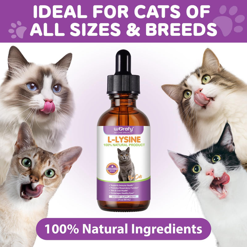 Cat L-Lysine Drops for Immune Support & Tear Stain Reduction | Advanced Liquid Formula with Colostrum & Taurine | Supports Respiratory Health & Bright Eyes | Tasty Roast Chicken Flavor, 60ml