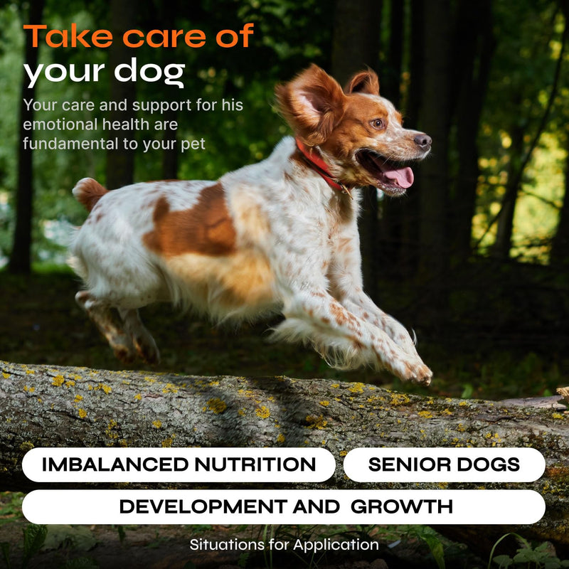 Dog Vitamins 15 in 1 - Dog Multivitamin Chews - Joint Supplement for Dogs - Dog Vitamins & Supplements for Hip & Joint, Immune System, Coat & Mobility - Itchy Skin Relief - Glucosamine Chondroitin 130 count - PawsPlanet Australia