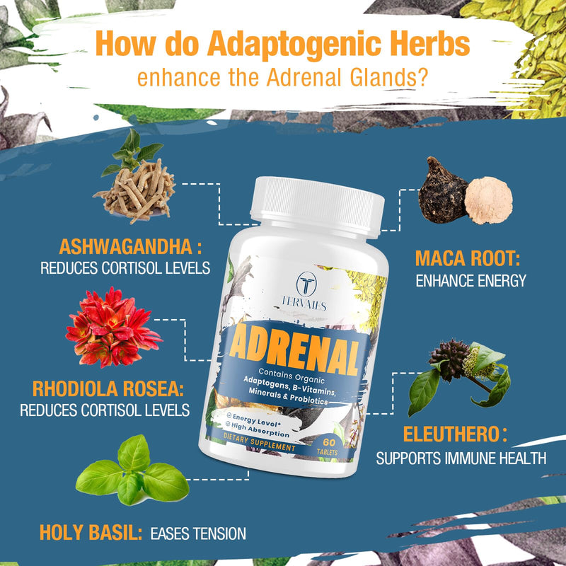 Adrenal Support Adaptogens Herbs Supplements - Cortisol Supplement with Rhodiola Rosea, Ashwagandha, Holy Basil and Eleuthero-Mood and Energy Support for Women & Men-Non-GMO, 60 Vegan Tablets 60 Count (Pack of 1)