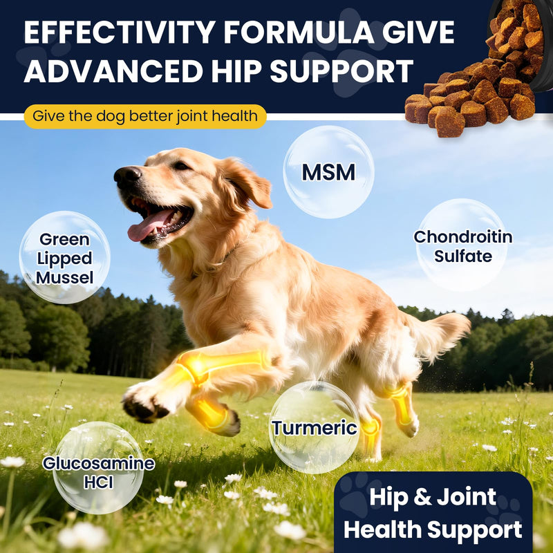 Hip and Joint Supplement for Dogs Dog Probiotics Glucosamine Chondroitin MSM Chew for Dog Arthritis Pain Relief Extend Joint Care, Probiotic for Digestive/Gut Health for Large/Small/Senior Breed Dogs Chicken