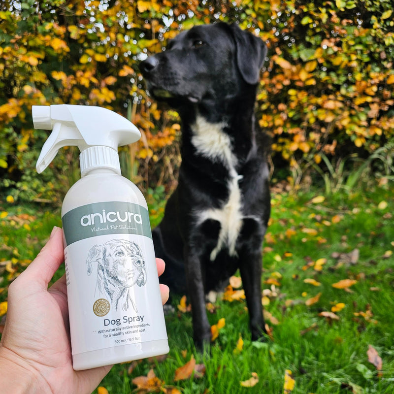 Anicura Dog Spray 500ml – Instant Relief & Long-Term Skin Health – Soothes Itchy, Dry Skin & Allergies – Gentle, Natural Care for All Dogs