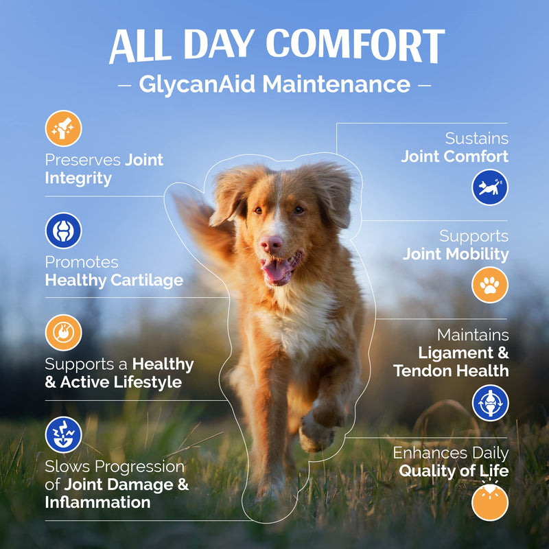 GlycanAid Maintenance Joint Nutrition for Dogs (60 Chewable Tablets), Made in USA-USA Ingredients: Glucosamine HCL, Chondroitin Sulfate, MSM, Vitamin C 60 Count - PawsPlanet Australia