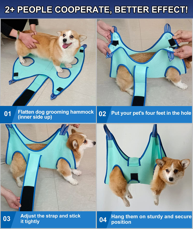 Kkiimatt Pet Grooming Hammock Harness, Dog Grooming Hammock Small Dogs, Dog Nail Trimming Hammock with Nail Clippers, Dog Hammock for Grooming with Wide Strap (XX-Small 3.5 KG Max/Turquoise) XX- Small 3.5 KG Max/Turquoise - BeesActive Australia