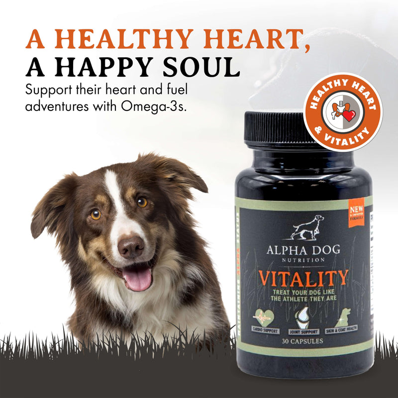 Krill Oil for Dogs - Vitality by Alpha Dog Nutrition – Reduces Dog Allergies, Itchiness, & Shedding – Promotes Healthy Skin and Coat - PawsPlanet Australia