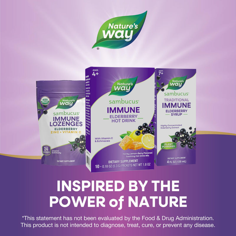Nature's Way Sambucus Elderberry Hot Drink Mix, Honey Lemon-Berry, 10 ct | Elderberry Hot Drink Mix with Vitamin C and Echinacea to Support Immune Health*, 10 Flavor Packets