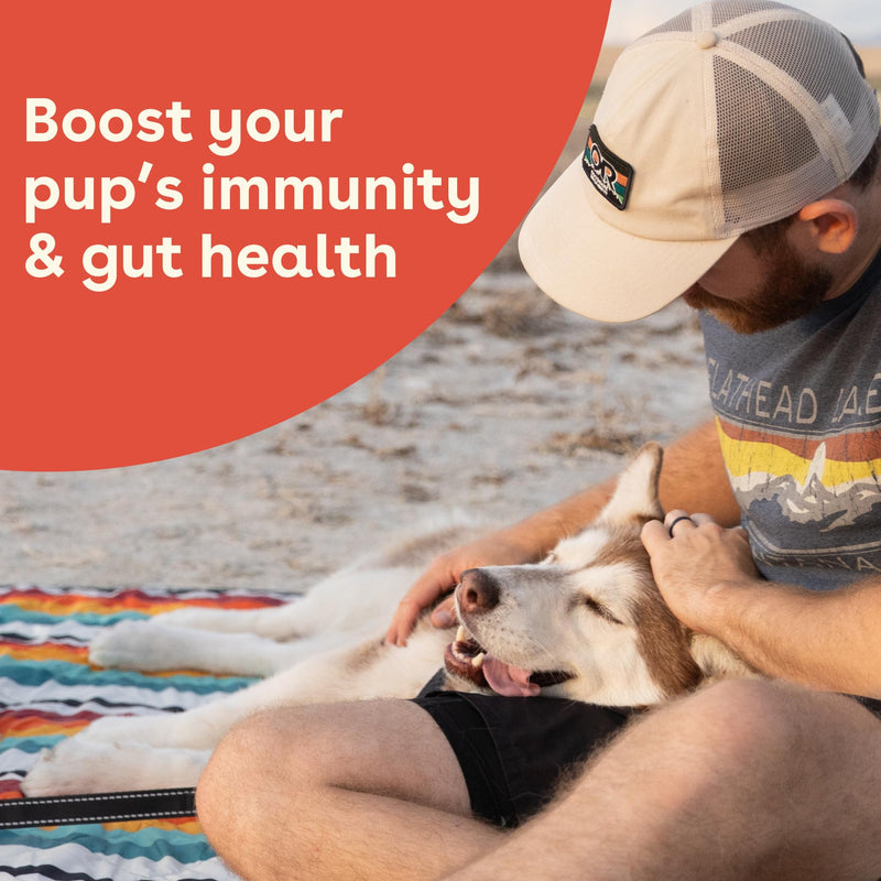 Pupford Gut Health & Immunity Supplement for Puppies and Adult Dogs, Made in The USA, Vet Approved, No Artificial Flavors, Peanut Butter and Jelly, Net Wt. 6.3 oz (120g) - PawsPlanet Australia