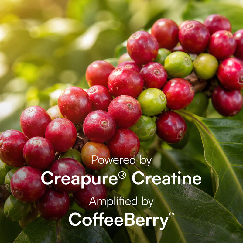 Purity Products EverStrong Creapure Creatine Powder with Boron | (FruiteX-B PhytoBoron) & CoffeeBerry Extract - Boosted with 1000 IU Vitamin D - Muscle Matrix Blend - Berry Burst (210 g)