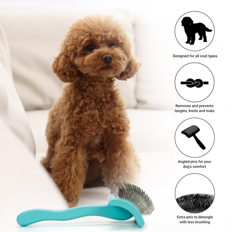 Chris Christensen Big G Dog Slicker Brush for Dogs (Goldendoodles, Labradoodles, Poodles), Groom Like a Professional, Fluff Detangle Style, Saves Time Energy, Teal, Medium - BeesActive Australia