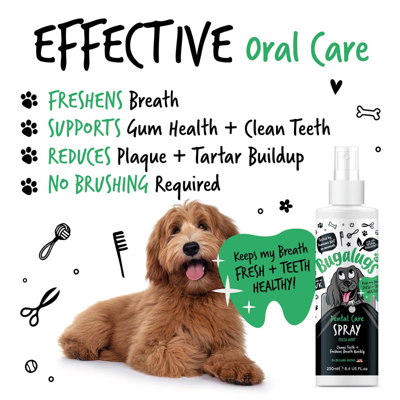BUGALUGS Dog Breath Freshener Dental Care Dog Spray. Clean Teeth, Healthy Gums & Fresh Breath - Natural Dog plaque remover & tartar remover for teeth. No Brushing Needed (Dog 250ml Spray) 250 ml (Pack of 1)