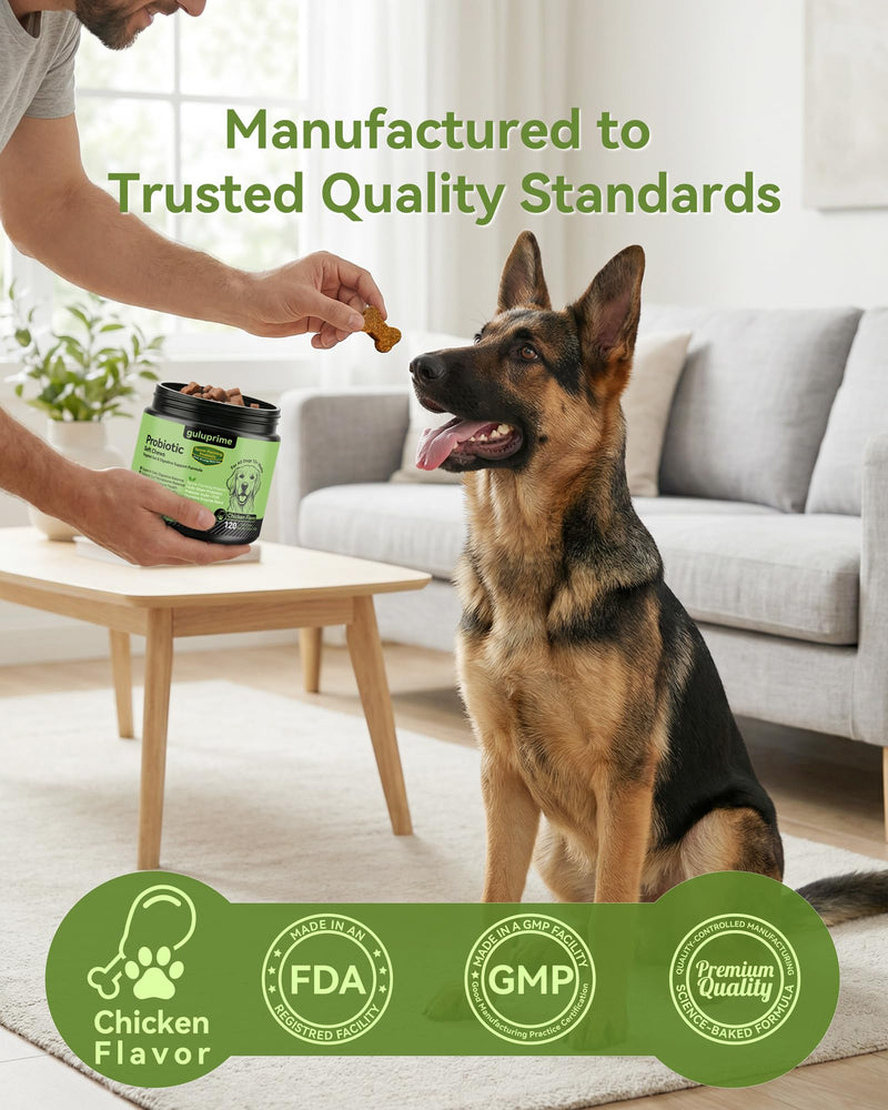 Probiotics & Prebiotics Soft Chews for Dogs – Daily Gut & Digestive Support, Spore-Forming Probiotic with Multi-Strain Lactobacillus, Prebiotic Inulin/FOS, Chicken Flavor, 120 Chews