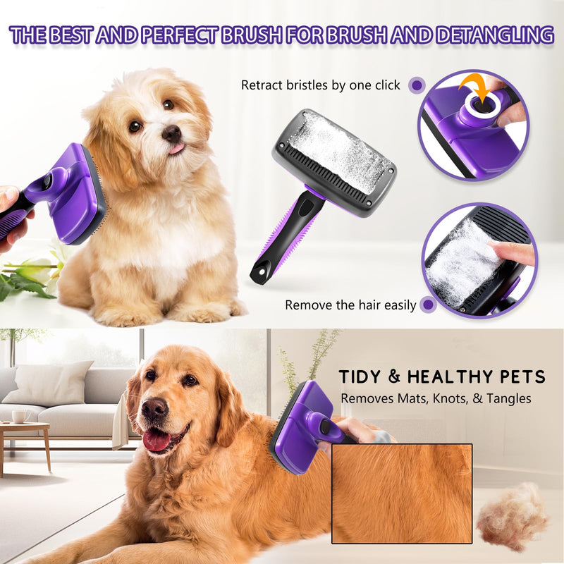 Self-Cleaning Slicker Brush for Shedding Short & Long Haired Dogs, Pet Brush Kit for Grooming Large Small Breeds. Removes Loose Fur, Undercoat and Tangled Hair. Includes Steam Brush for Cats - BeesActive Australia