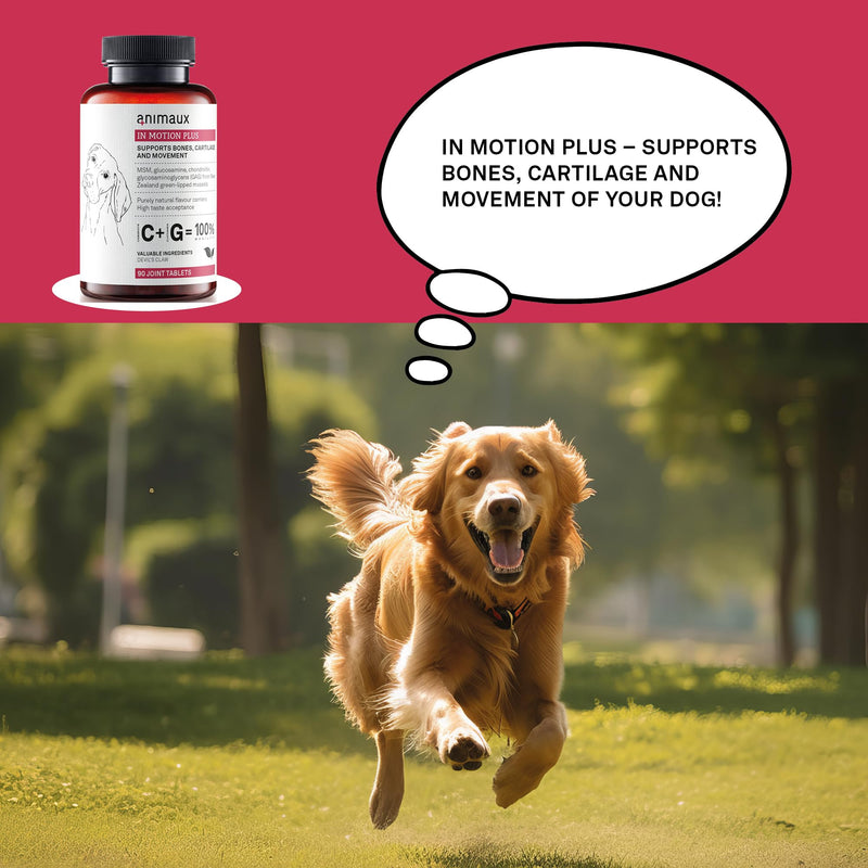 Animaux In Motion Plus – 90 Tablets – Hip & Joint Mobility Supplement for Dogs, maintains Bones and Cartilage with MSM, Glucosamine, Chondroitin and Green Lipped Mussel
