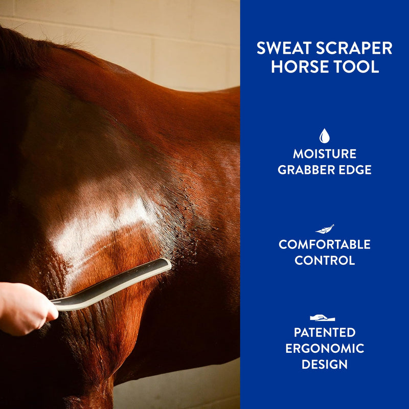 WAHL Professional Animal Equine Grooming Sweat Scraper Horse Tool - Black - BeesActive Australia