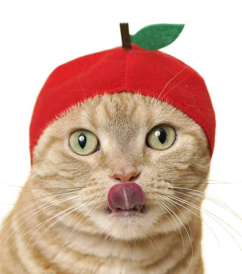 Kitan Club Cat Cap - Pet Hat Blind Box Includes 1 of 6 Cute Styles - Soft, Comfortable - Authentic Japanese Kawaii Design - Animal-Safe Materials, Premium Quality (Fruit) - BeesActive Australia