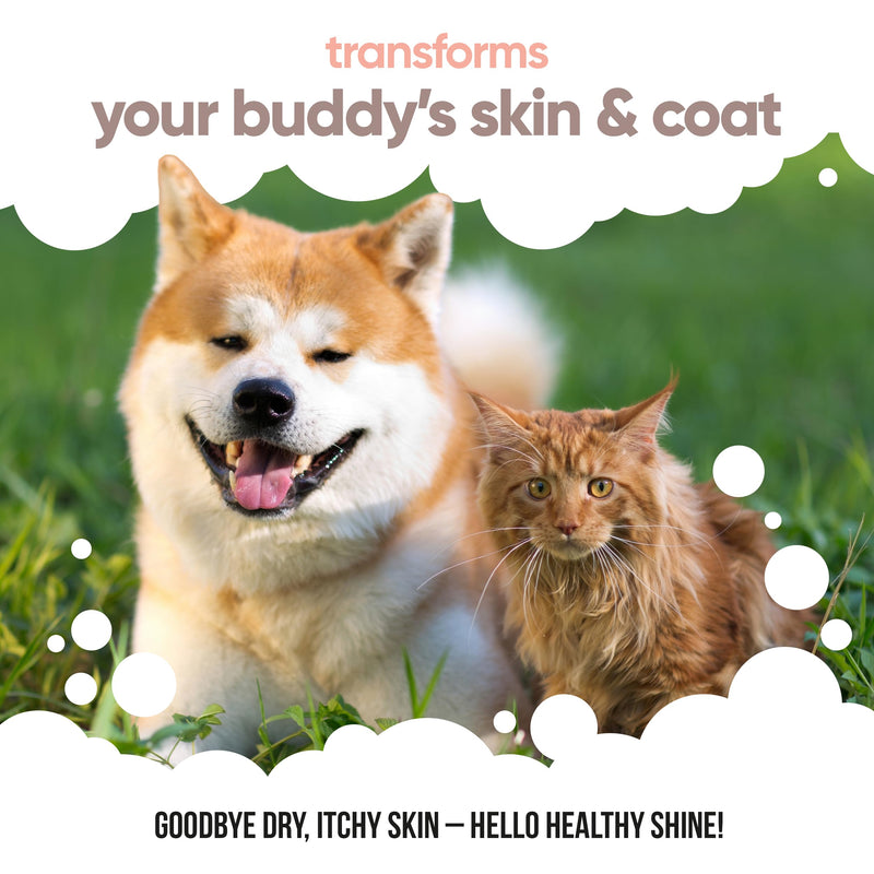 Buddycare Scottish Salmon Oil for Dogs and Cats (16.90 fl.oz) 100% Natural & Sustainable Supplement | Rich in Omega 3, 6 & 9 for Boosting the Health & Vitality of your Pet’s Skin, Coat & Immune System