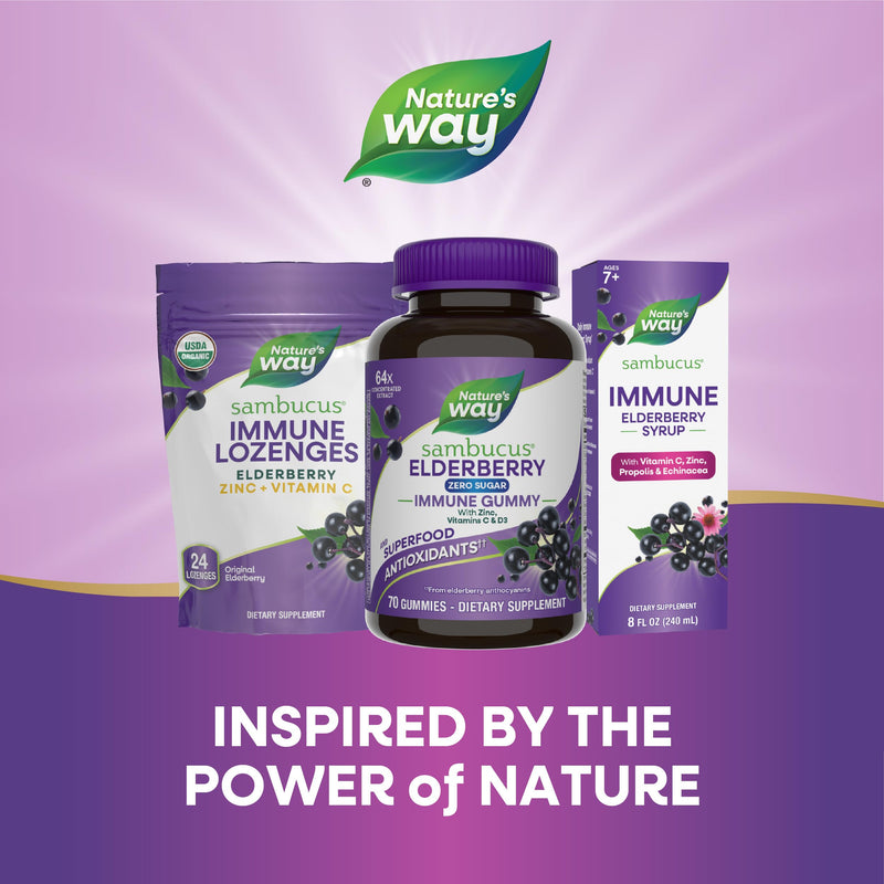 Nature's Way Sambucus Zero Sugar Immune Gummies, Daily Immune Support*, Black Elderberry Extract, Vitamin C, Vitamin D3, Zinc, Sugar Free, Sugar Alcohol Free, Plant-Based Sweeteners, 70 Gummies All Family 70 Count (Pack of 1)