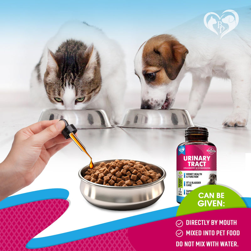 Cat & Dog Urinary Tract Infection Treatment & Natural UTI Medicine Cranberry & D-Mannose -Kidney+Bladder Support - Best Incontinence, Bladder Stones - Pet Renal Health & Care Drops 1 Pack (60 ml)