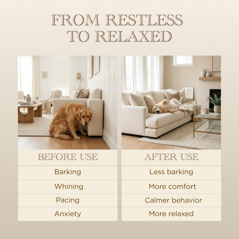 Eden & Hound Dog Calming Diffuser Starter Kit | Plug In Pheromone Diffuser for Dogs with 60 Day Refill | Helps Reduce Anxiety & Stress | Warm Ambient Night Light