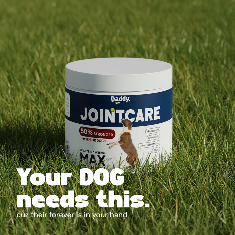 Joint Supplements for Dogs Max Strength Glucosamine & Chondroitin with Green Lipped Mussel for Dogs & MSM For Severe Joint Stiffness, Mobility & Dog Pain Relief Anti Inflammatory Beef Max Strenght