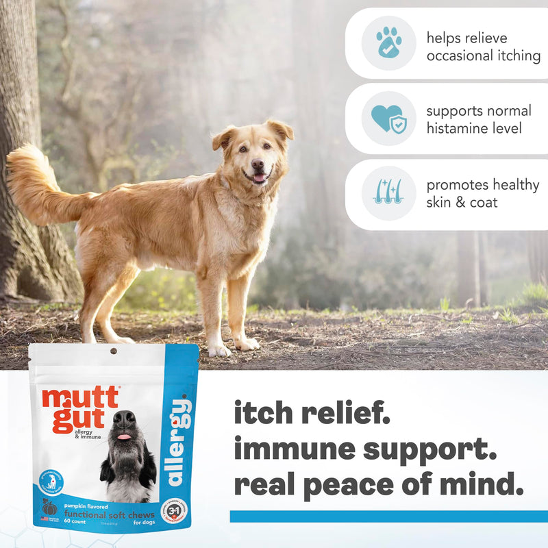 MuttGut® Dog Allergy and Immune Chews - Itch Relief for Dogs with Skin & Coat Support - Allergy Relief for Dogs Itching & Licking - Pet Allergy Chews for Seasonal Allergies - 60 Soft Chews