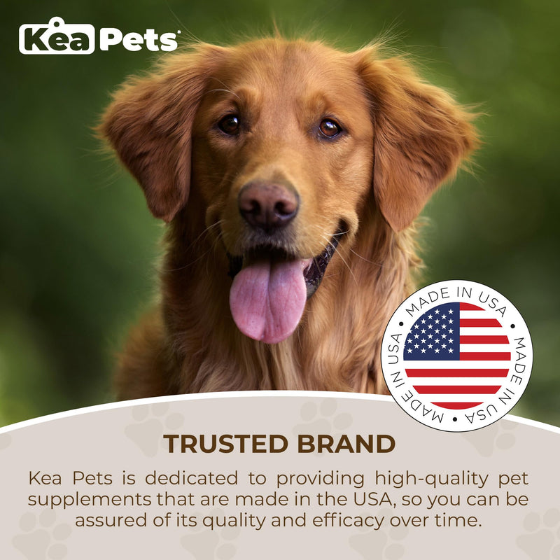 Doggie Condiments Pet Respiratory Support A Natural Dog Supplement for Optimal Dog Breathing, Clear Sinuses, Coughing, Sneezing and Congestion Relief for Dogs - PawsPlanet Australia