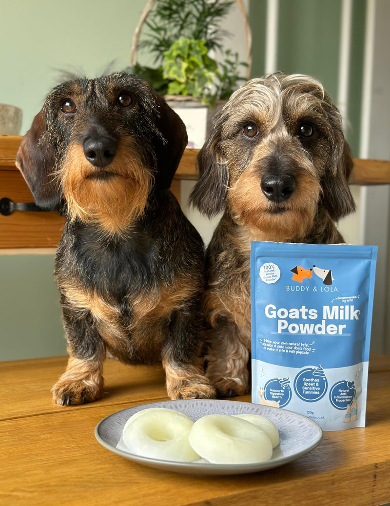 Buddy & Lola Goats Milk Powder for Dogs & Cats | Digestive Dog Health | Low Lactose Formula for Dog & Puppy | Perfect for Hydration | Suitable for Puppies & Dogs of all ages | Nutrient Rich