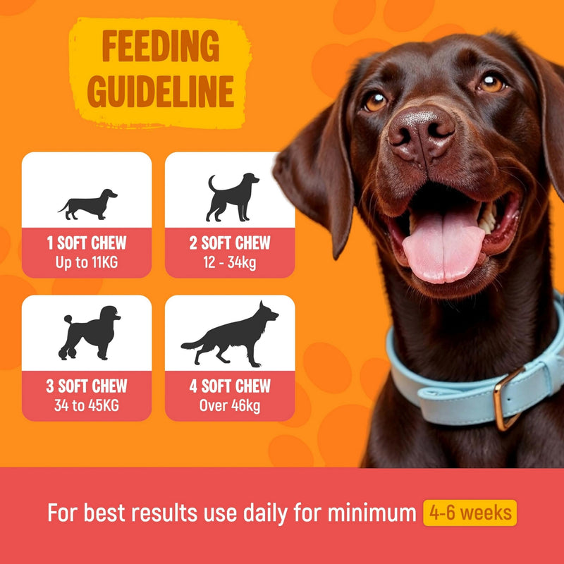 Dog Probiotic Supplements for Gut Health – 120 Soft Probiotic Chews for Dogs – Daily Canine Probiotics & Prebiotics to Support Digestion, Immunity & Sensitive Stomachs – Salmon Flavour Treats