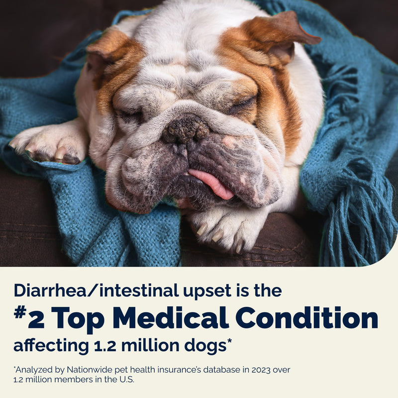 Vetnique Glandex Rapid Digestive Support for Dogs with Loose Stool | Diarrhea - Probiotics and Pumpkin for Dogs to Help Firm Dog Poop - 25 Chicken Flavored Soft Chews (25ct, Anti-Diarrhea) 25ct