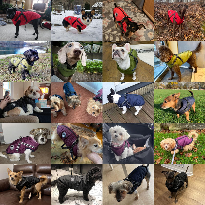 Gyuzh Dog Coat with Harness Winter Dog Coat Fleece Dog Jacket Waterproof Dog Coat Zipper Dog Jacket Puppy Coat Small Dog Clothes Dog Coat with Reflective Harness for Smal Medium Large Dogs red - BeesActive Australia