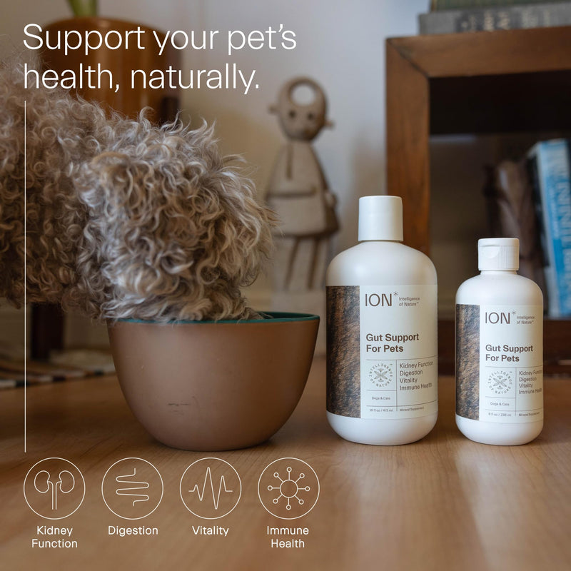 ION* Gut Support + ION* Pet Support (8oz Bundle) - BeesActive Australia
