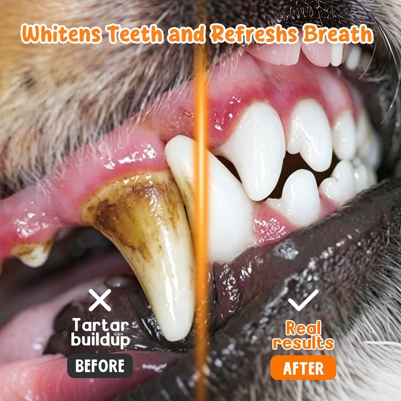 Dog Dental Powder for Teeth Cleaning - Dog Dental Care, Plaque & Tartar Remover for Teeth, Fresh Mint Breath Freshener, Probiotics Dental Powder - No Brushing Oral Care Support(150g)