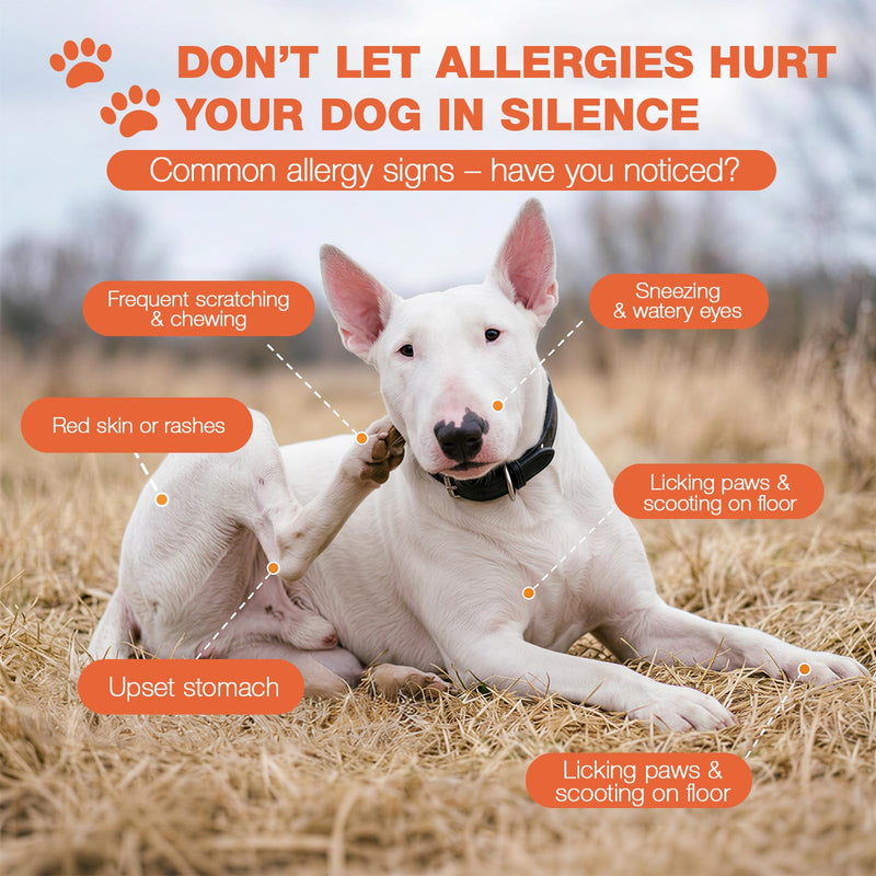 180 Chews Dog Allergy Chews, Itching Skin Relief, Natural Dog Allergy Relief Treatment for Paw Licking, Hot Spots, Anti-Itch, Dry Skin, Allergies & Immune Support Supplement 180-Cts