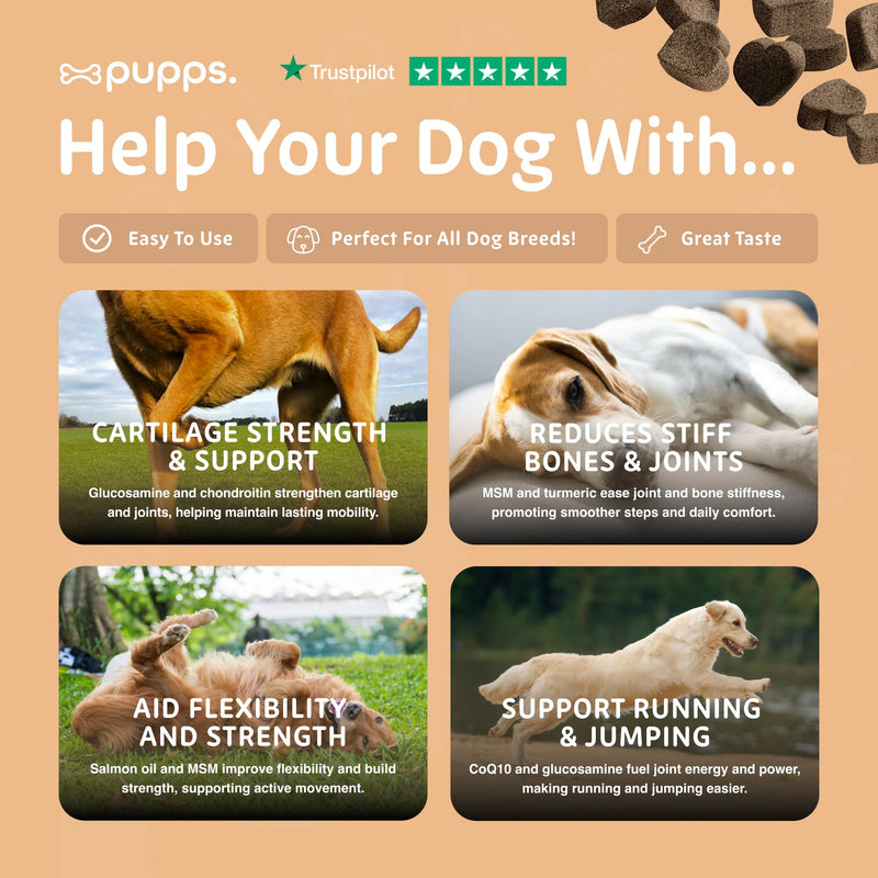 Pupps Hip & Joint Dog Treats – 120 Chews with Glucosamine (1000mg), Green Lipped Mussel & MSM | Joint Support for Dogs of All Ages | Helps Mobility, Stiffness & Comfort | Vet Approved, UK Made 120 x Chews