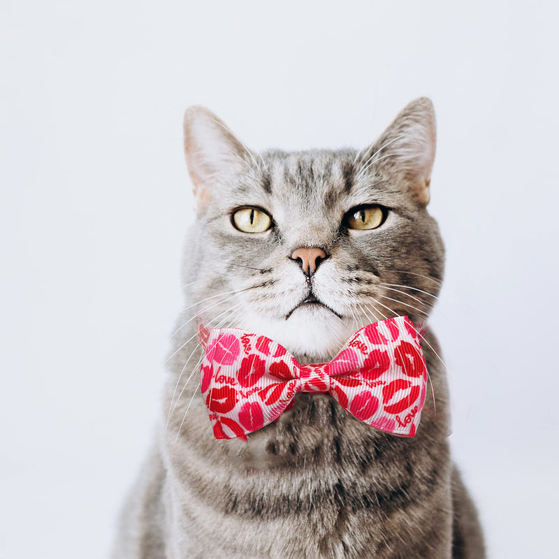 Valentine Bow Tie Cat Collar Set with Bell, Holiday Red Heart and Pink Kiss Cat Collar for Boys and Girls Kitty Kittens Pattern 2 - BeesActive Australia