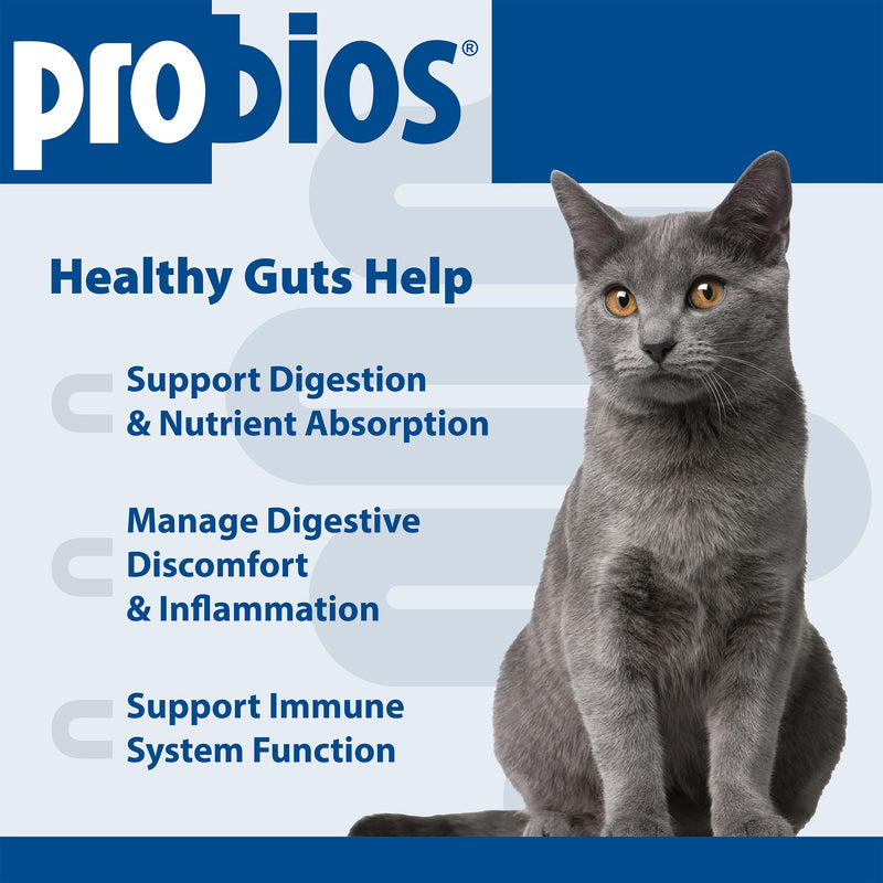 Probios Intelliflora for Cats, Daily Probiotic Powder with Prebiotics, 200 Million CFU/g, Supports Gut Health Digestion and Immune Health, Chicken Liver, 30 Sachets (Pack of 2)