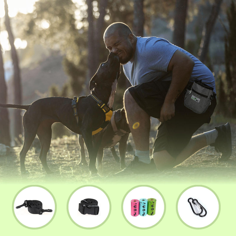 Pet N Pet Dog Treat Pouches For Pet Training, Dog Treat Bag, Dog Training Treat Pouch, Dog Treat Holder, Treat Bag, Dog Training Bag, Dog Treat Pouch Small, Treat Bag For Dog Training Grey Training Pouch - BeesActive Australia