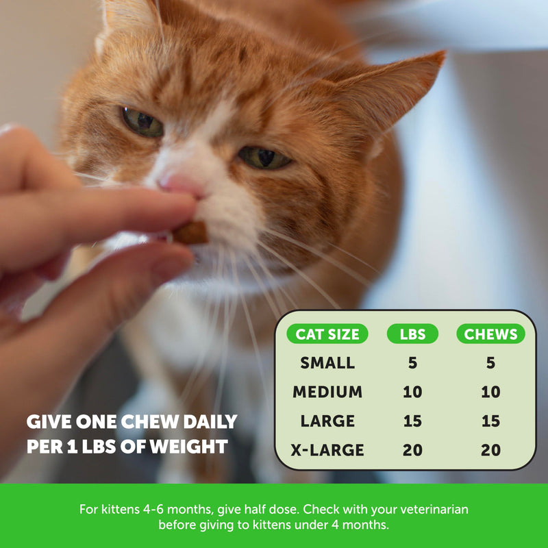 Cat Hairball & Skin Health Virtual Bundle – Hairball Chews 90 Day + Skin & Coat Health Chews 30 Day Supply