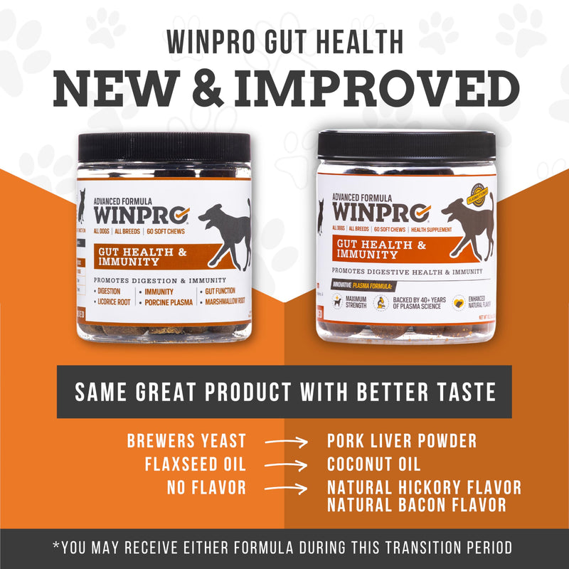 WINPRO Dog Gut Health Supplements – Plasma-Powered Chews for Dog Immune Support & Digestive Health, Fast-Acting Solution for Gut Health for Dogs of All Breeds & Sizes, 60 Count, Made in USA - PawsPlanet Australia