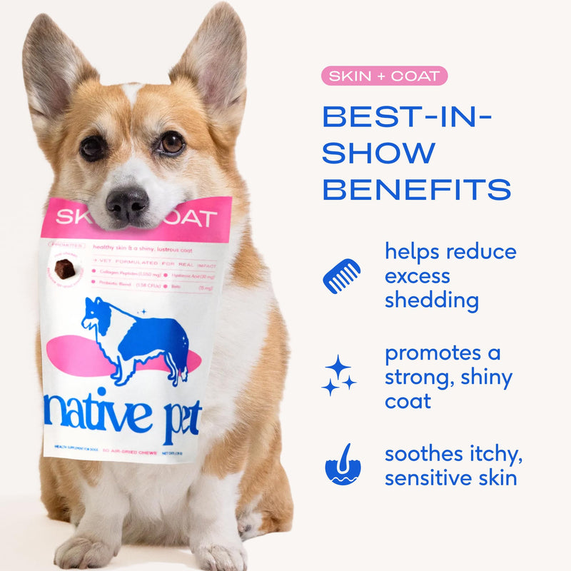 Native Pet Allergy Chews (60 Air-Dried Chews) & Omega Skin and Coat Chews for Dogs (60 Air-Dried Chews) - Promotes Healthy Skin, Shiny Coat, & Digestive Support